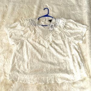 Beautiful white lace plus size top